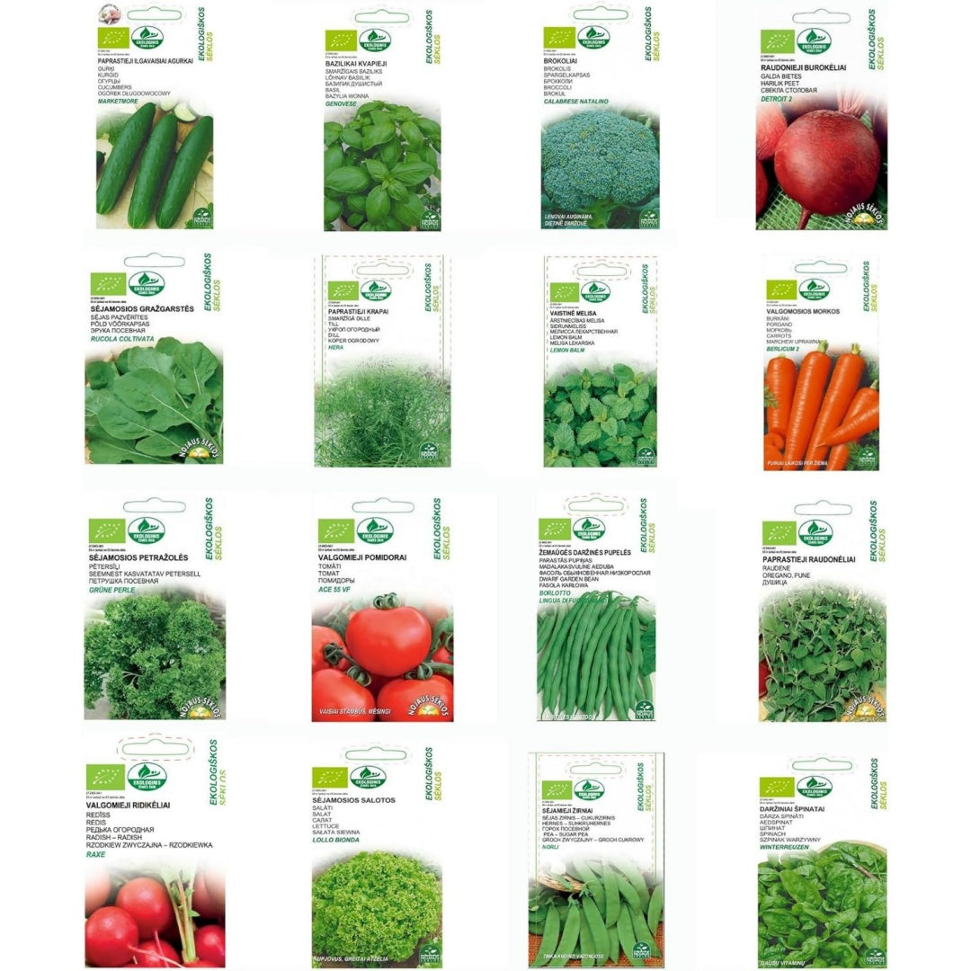Vegetali verde per spazi esterni