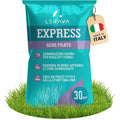 Prato verde