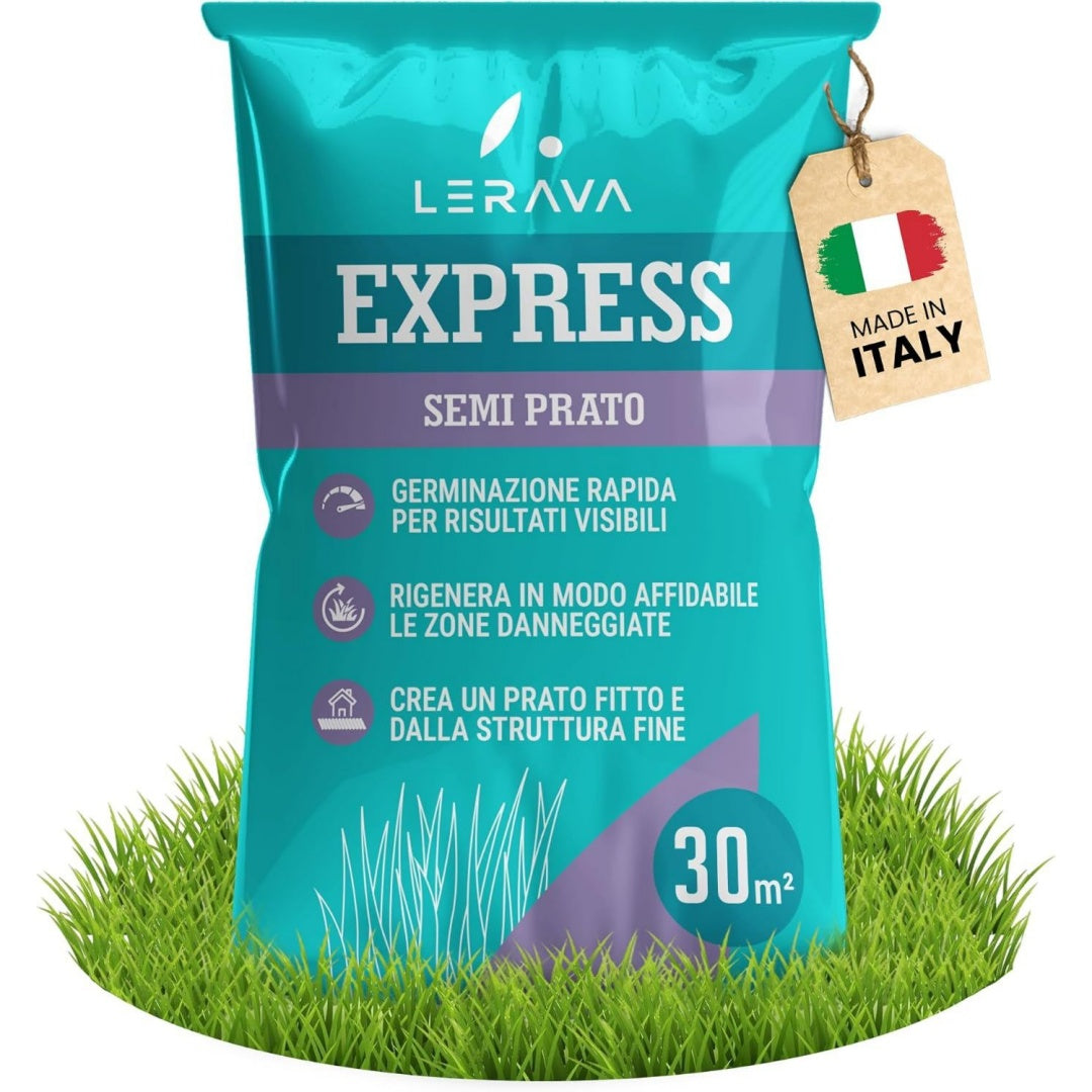 Prato verde